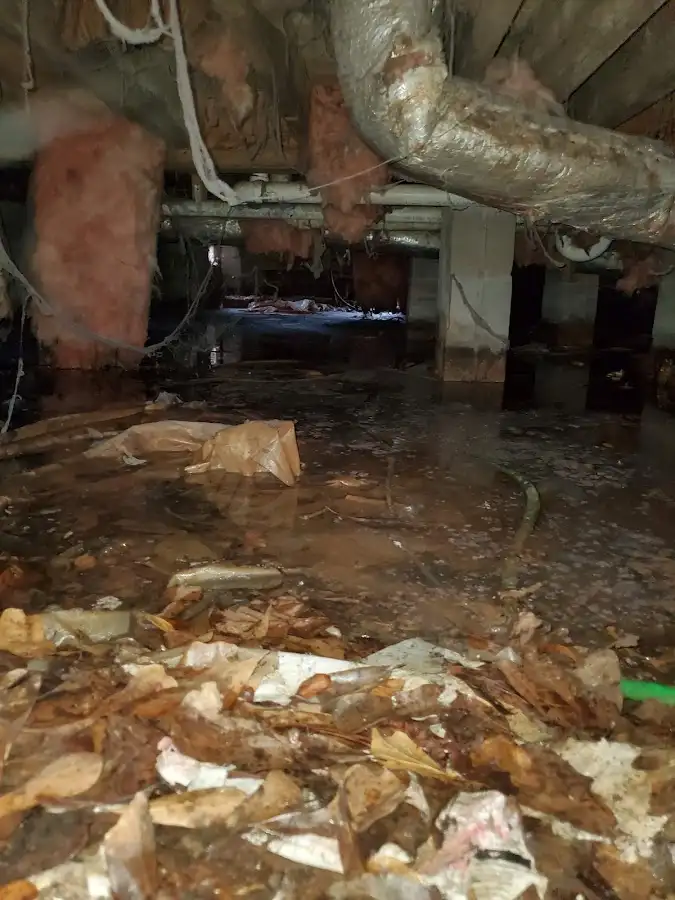 Crawl space flood assessment for Leak Detection & Repair in North Oaks