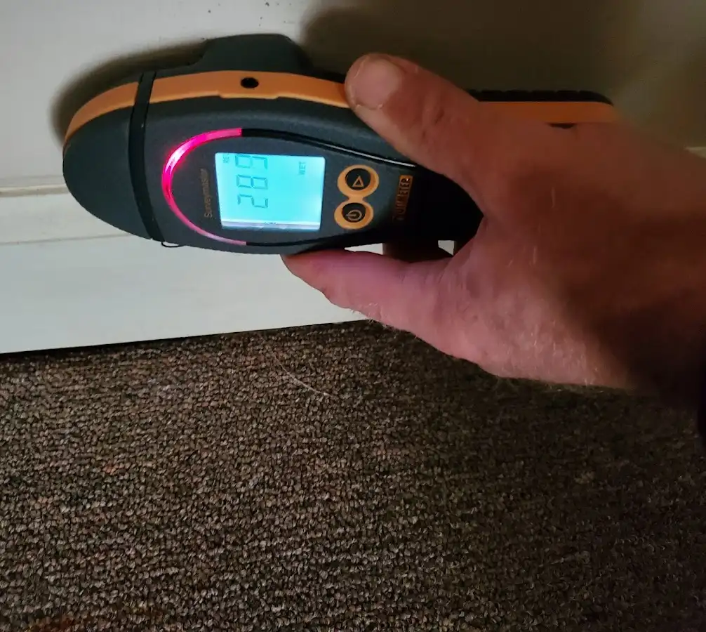 Moisture detection at baseboard during Sewage Cleanup & Sanitation in North Oaks